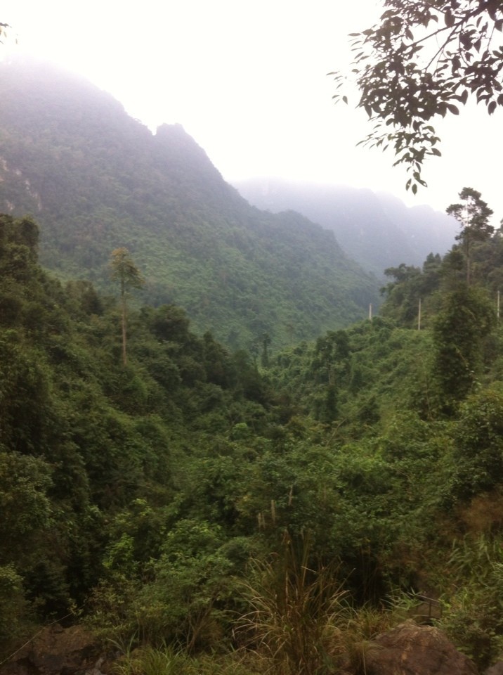 Lac vao tien canh vuon thuc vat tai Phong Nha Ke Bang-Hinh-3